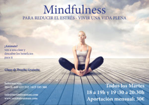 Mindfulness versión primavera 2016